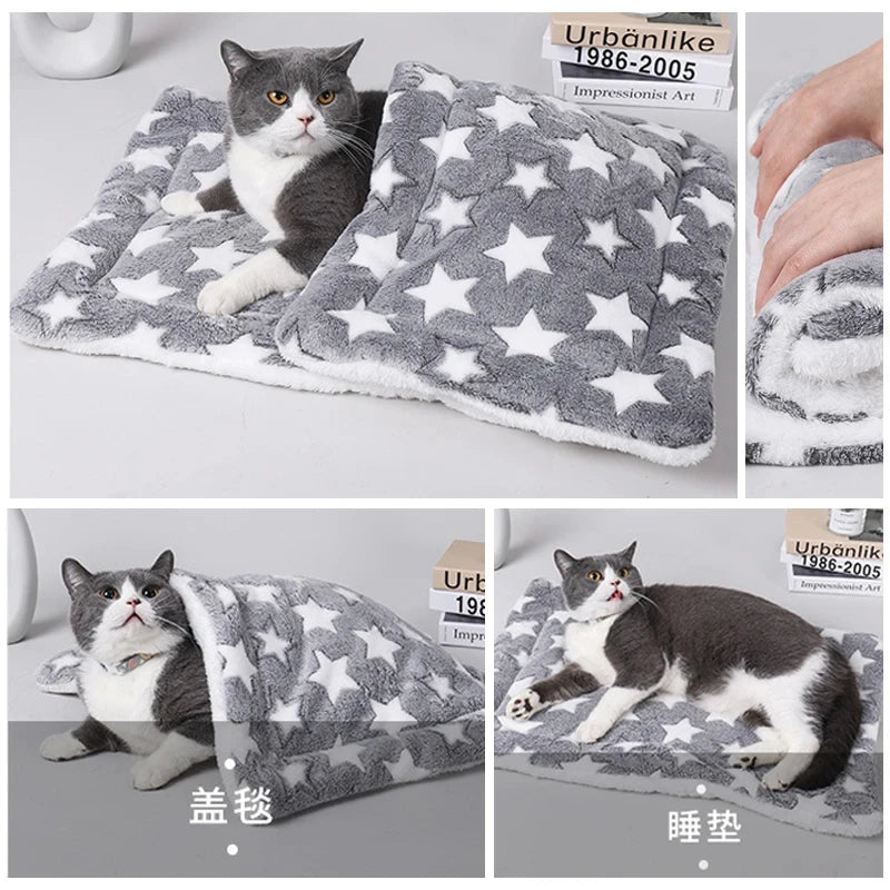 🐾StarPaw Cozy Blanket